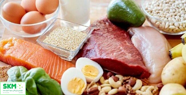 مواد نگهدارنده