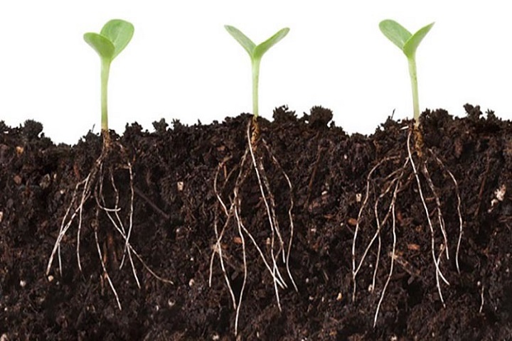 تولید هیومیک اسید