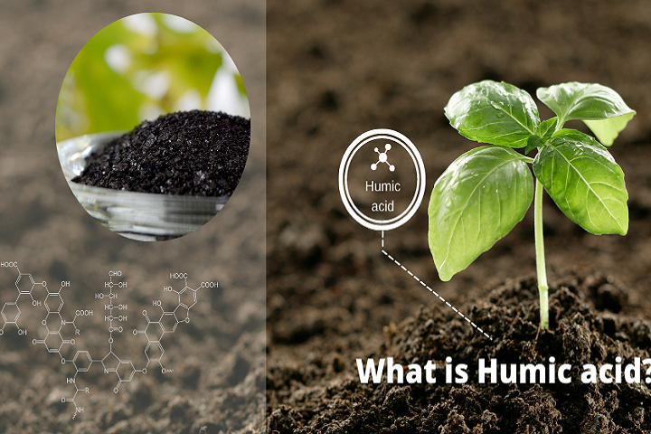 خاصیت هیومیک اسید